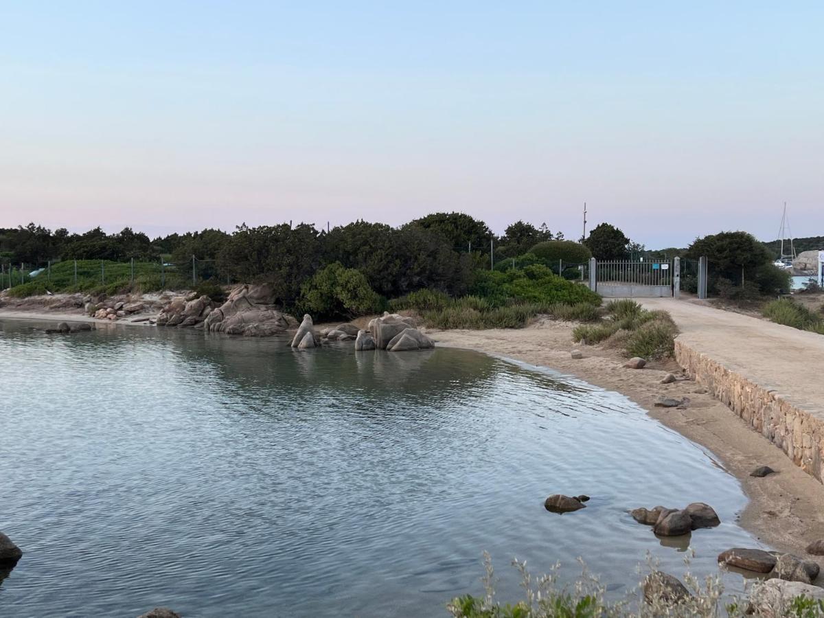 شقة Casa Sibilla Bi-Locale Con Terrazza A 60 Metri Dal Mare مارينيلاّ المظهر الخارجي الصورة